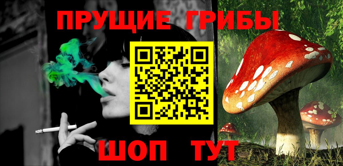 Псилоцибиновые грибы Psilocybine cubensis Кизляр