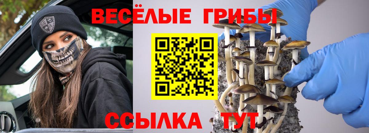 купить закладку  Галлюциногенные грибы мицелий  Вход с VPN  Кизляр 