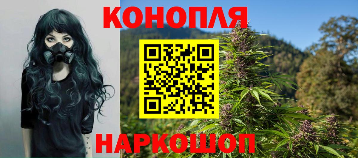 МАРИХУАНА ГИДРОПОН Кизляр